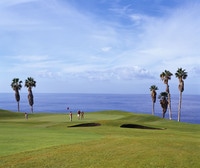 Golf Costa Adeje, Spieler Green